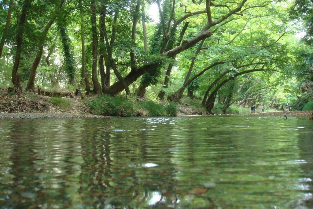 The Villa Averoff Kirinthos Bilik gambar