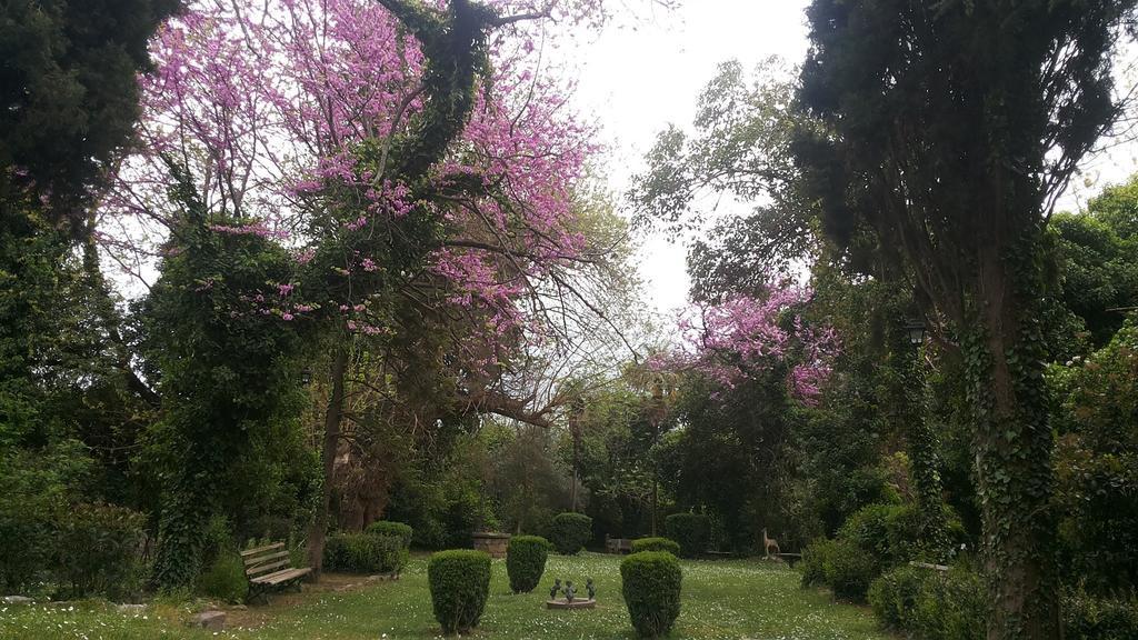 The Villa Averoff Kirinthos Bilik gambar