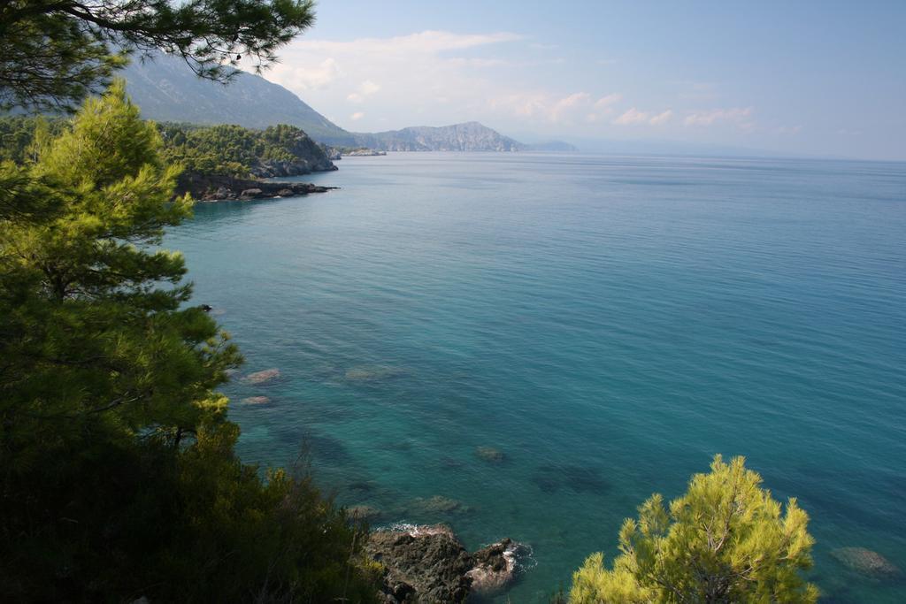 The Villa Averoff Kirinthos Bilik gambar